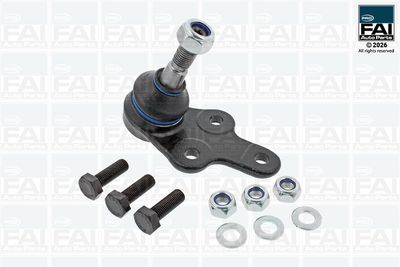 Шарнири FAI AutoParts FPBJ0605