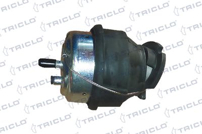 окачване, двигател TRICLO 367175
