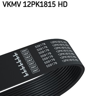 SKF V formos rumbuoti diržai