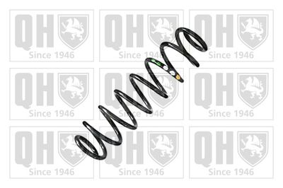 QUINTON HAZELL QCS6571 Пружина подвески  для VW POLO (Фольцваген Поло)