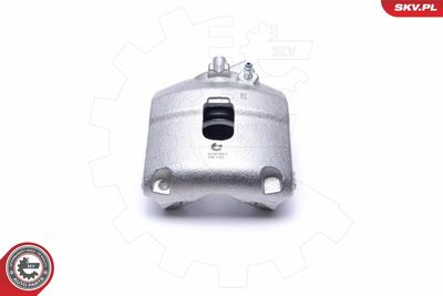 Brake Caliper 55SKV821