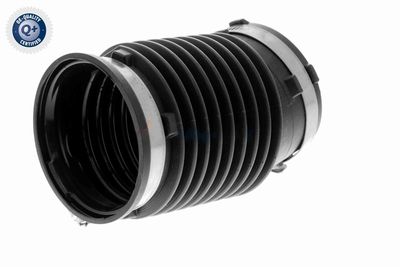 ANSAUGSCHLAUCH LUFTFILTER VAICO V251910 4