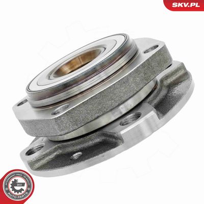 SET RULMENT ROATA ESEN SKV 29SKV680 5