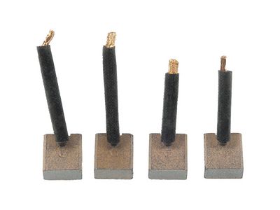 Anglies šepetėlis, starteris