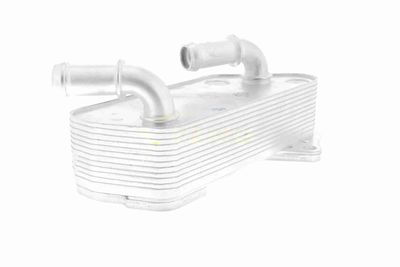 ÖLKüHLER MOTORöL VEMO V40602118 4