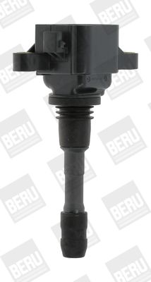 Катушка зажигания BorgWarner (BERU) ZSE066 для RENAULT SCÉNIC