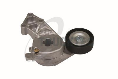 INTINZATOR CUREA CUREA DISTRIBUTIE