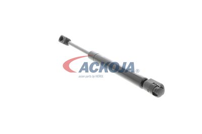 AMORTIZOR PORTBAGAJ ACKOJA A380073 44