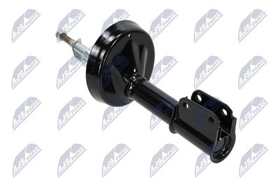 AMORTIZOR NTY ARE020 12