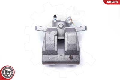 Brake Caliper 34SKV533