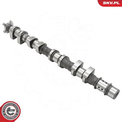 AX CU CAME ESEN SKV 80SKV051 4