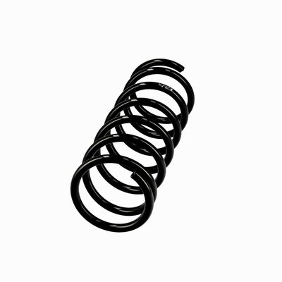 ARC SPIRAL EIBACH R10118 14