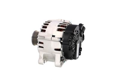 GENERATOR / ALTERNATOR REMANTE 011003000825R 20