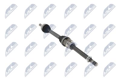 PLANETARA NTY NPWRE215 31