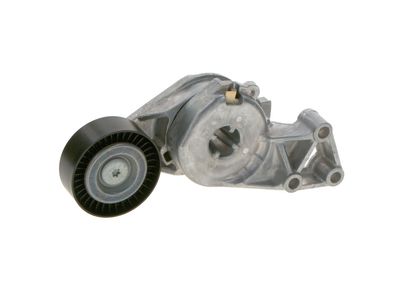 INTINZATOR CUREA CUREA DISTRIBUTIE BOSCH 1987945810 26