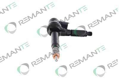 INJECTOR REMANTE 002003001191R 4