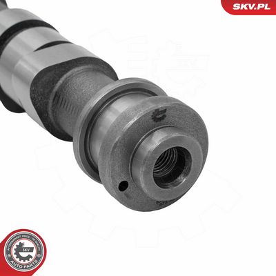 AX CU CAME ESEN SKV 80SKV081 3