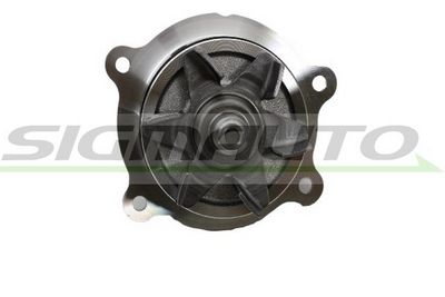 POMPă DE APă RăCIRE MOTOR