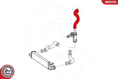 Трубка нагнетаемого воздуха 24SKV622