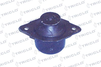 окачване, двигател TRICLO 363911
