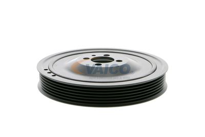 FULIE CUREA ARBORE COTIT VAICO V401481 12