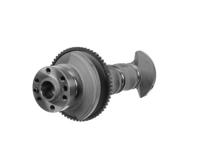 ARBORE COTIT ET ENGINETEAM HK0216 14