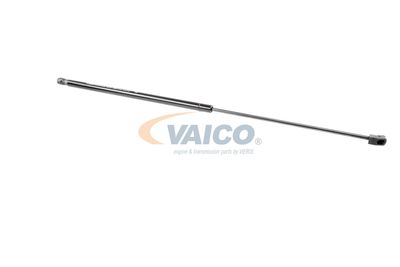 AMORTIZOR CAPOTA VAICO V101949 16