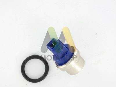 SENZOR TEMPERATURA LICHID DE RACIRE