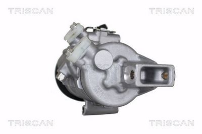 COMPRESOR CLIMATIZARE TRISCAN 902069020 3
