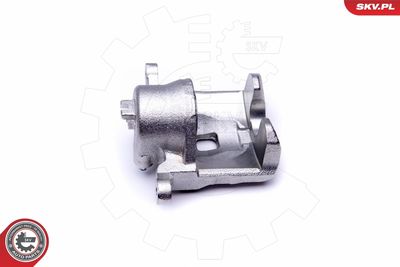 Brake Caliper 46SKV881