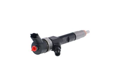 INJECTOR REMANTE 002003000022R 33
