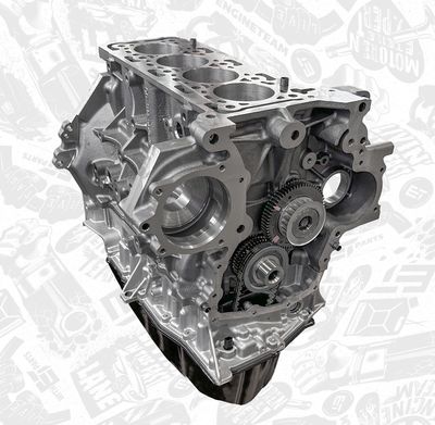 MOTOR EXCLUZAND ACCESORIILE