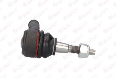 CAP DE BARA BIRTH RS0117 10