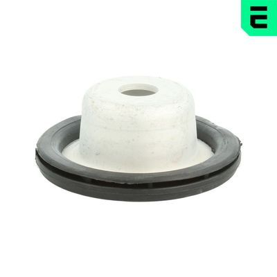 FEDERBEINSTüTZLAGER