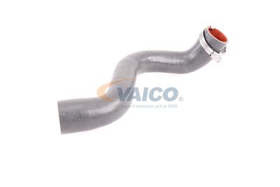 FURTUN EAR SUPRAALIMENTARE VAICO V460823 54