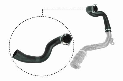 FURTUN EAR SUPRAALIMENTARE