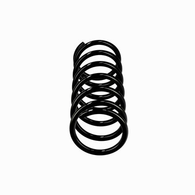 ARC SPIRAL EIBACH R10118 1