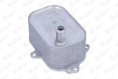 RADIATOR ULEI ULEI MOTOR BIRTH 80845 8