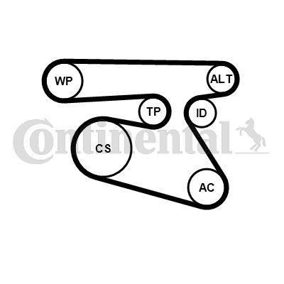 Zestaw paska klinowego wielorowkowego CONTINENTAL CTAM 5PK1960K1
