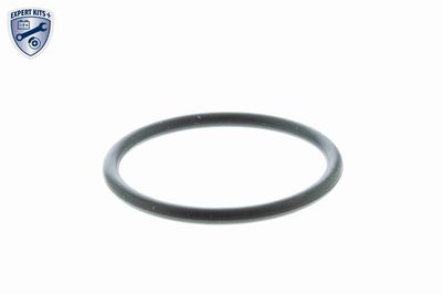 TERMOSTAT LICHID RACIRE VEMO V159919831 1