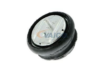 SUPORT MOTOR VAICO V201024 19