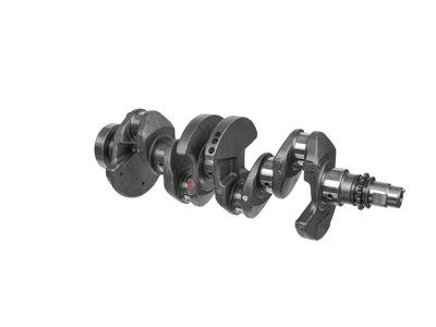 ARBORE COTIT ET ENGINETEAM HK0228 7