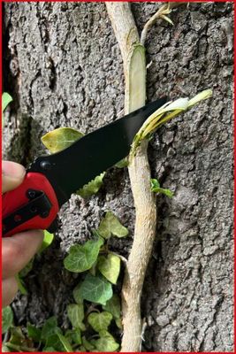 Vorschau Klappmesser Ansicht 12