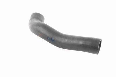 FURTUN EAR SUPRAALIMENTARE ACKOJA A379600 6