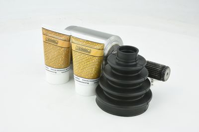 SET ARTICULATIE PLANETARA FEBEST 2011NITLH 32