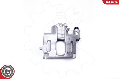 Brake Caliper 42SKV131