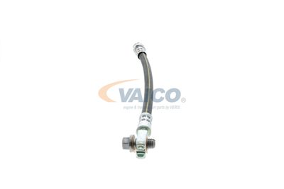 FURTUN FRANA VAICO V101125 38