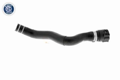 FURTUN RADIATOR VAICO V240844 5