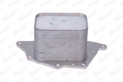 RADIATOR ULEI ULEI MOTOR BIRTH 80859 7