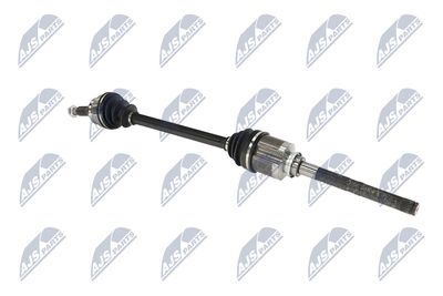 PLANETARA NTY NPWMS086 11